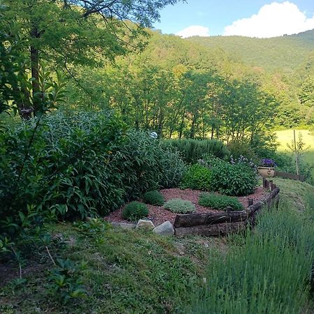 Locanda Di Alberi 보르고산로렌조 외부 사진