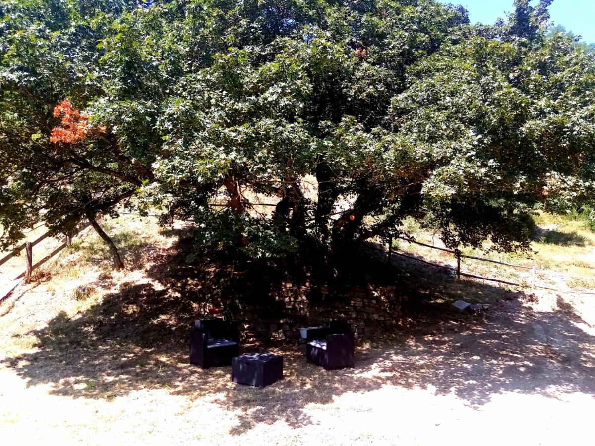 Locanda Di Alberi 보르고산로렌조 외부 사진
