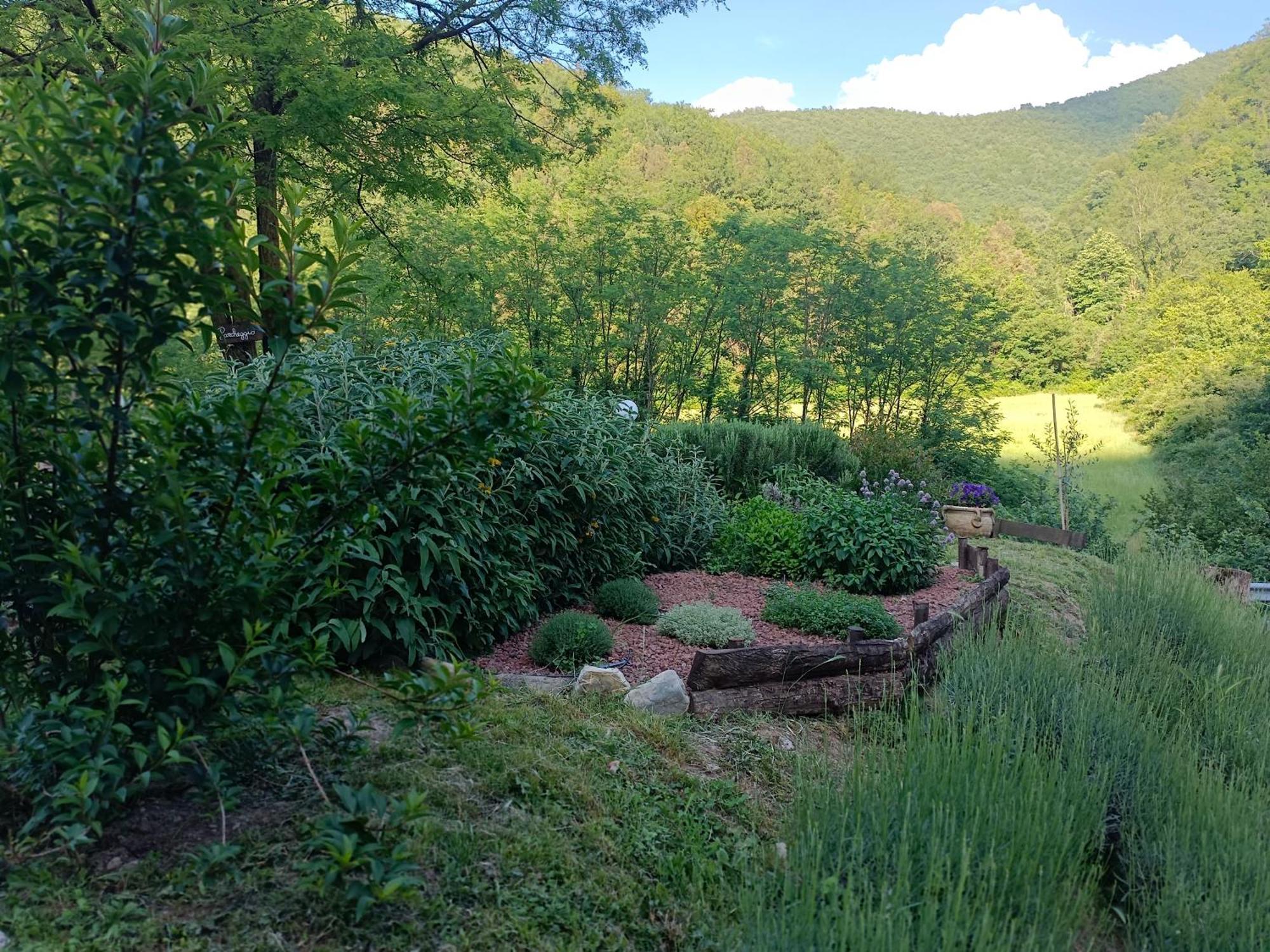 Locanda Di Alberi 보르고산로렌조 외부 사진